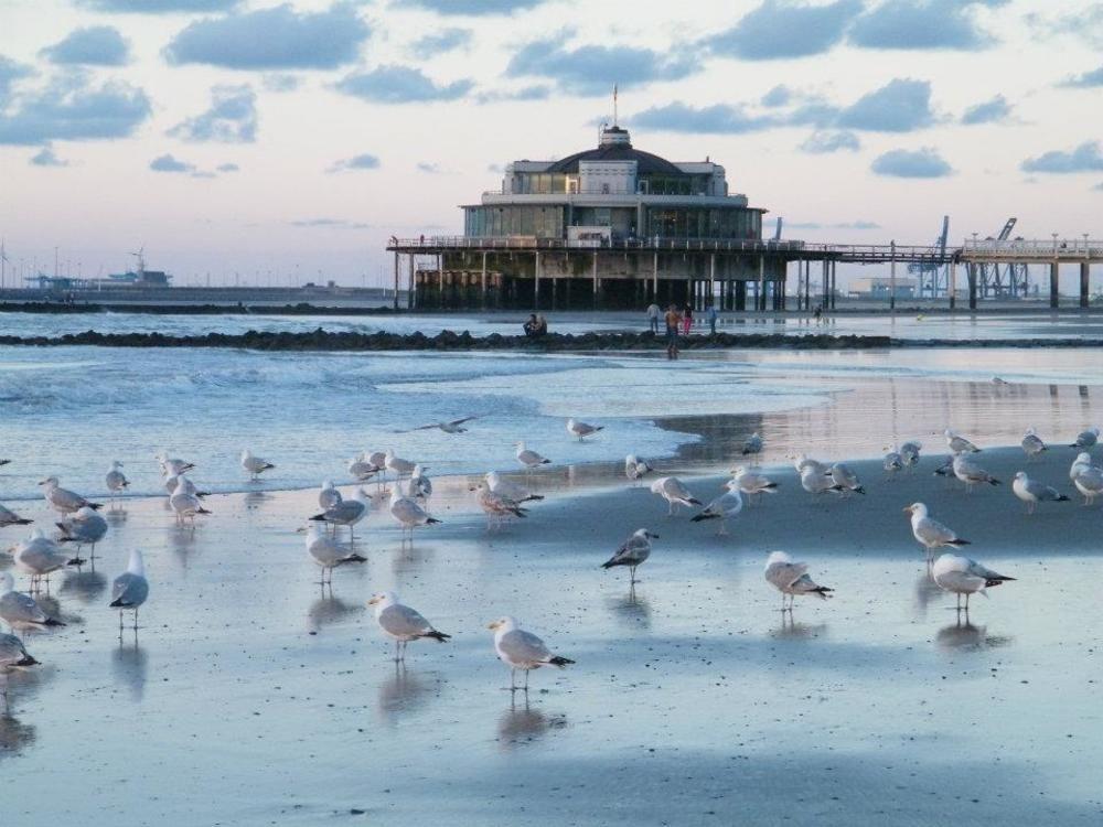 Seaside Blankenberge Ξενοδοχείο Εξωτερικό φωτογραφία